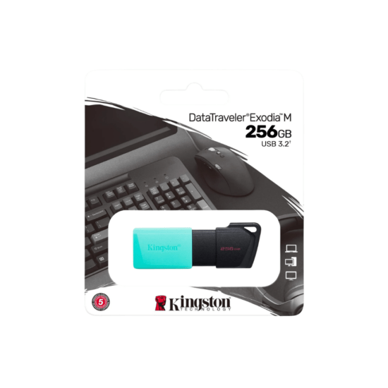 Kingston DTXM/256GB - DTI USB 3.0 - 256GB