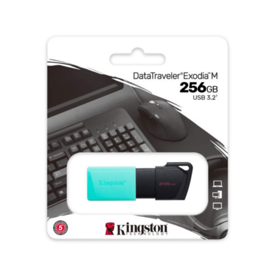 Kingston DTXM/256GB - DTI USB 3.0 - 256GB